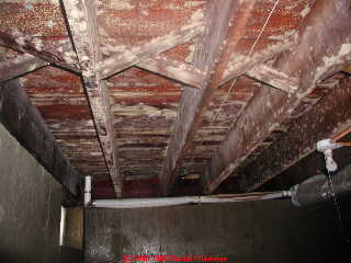 Mold Removal in Woodlawn by Tri-State Restoration Services