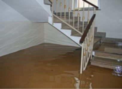 Emergency water removal in Sharonville by Tri-State Restoration Services