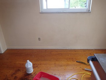 Mold Removal and Water Damage in Cincinatti, OH